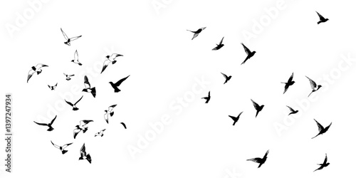 A set of black hand-drawn strokes forming birds in a flock, presented as a drawing sketch on a white background, serves as inspirational body art for a flash tattoo ink design in modern format