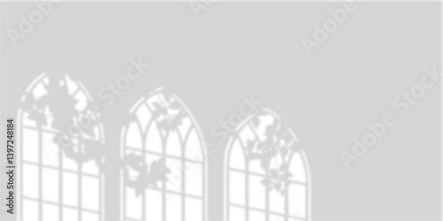 Elegant Curved Window Light with Tree Branch Shadow � Transparent Background Overlay for Modern Interior Scenes