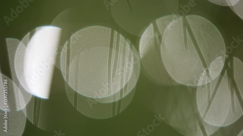 Refractions in soft light on green background.
