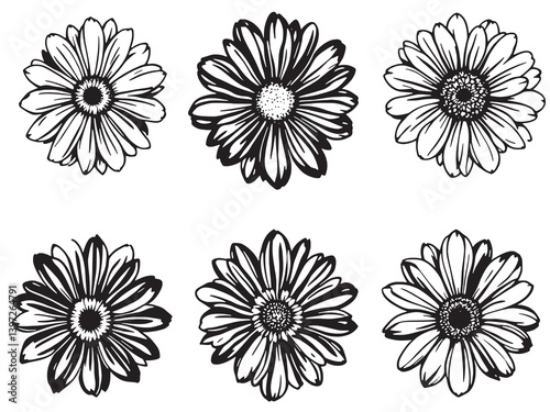 Painted Daisy Black Line Art on White Background