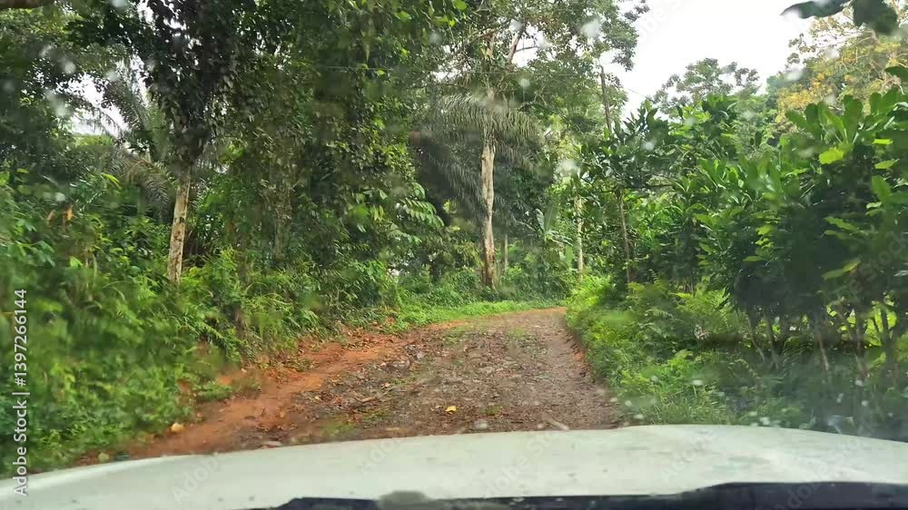 POV view from inside a car driving slowly on a poor road through the forest at ilha do Principe,Sao Tome,Africa POV view from inside a car driving slowly on a poor road through the forest at ilha do Principe,Sao Tome,Africa