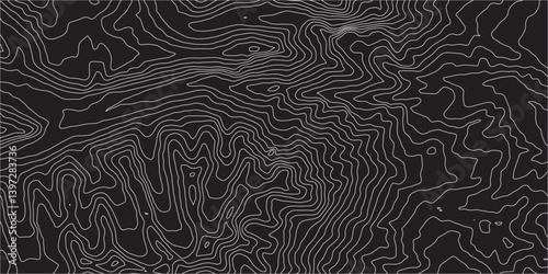 Abstract Topographic Contours Map on a Black Background: Geometric Contour Lines and Circular Patterns Creating a Modern and Elegant Representation of Terrain and Elevation"

