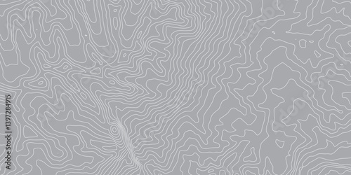 Topographic Map Background with Detailed Contour Lines and Geometric Circles: An Abstract Representation of Geographic Features, Elevation Changes, and Natural Terrain in a Clean, Modern Design"