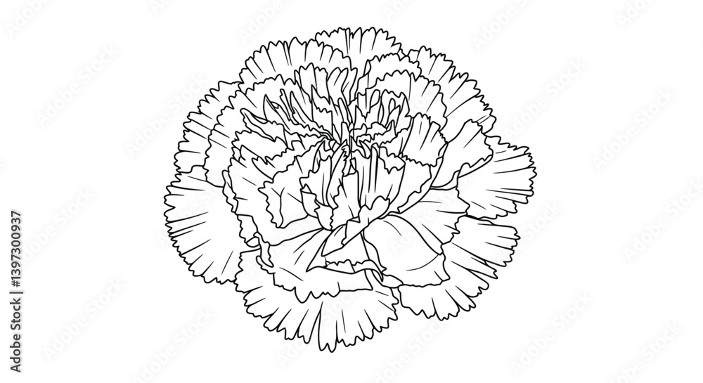 Fototapeta premium Carnation flower coloring page outline highlighting the unique ruffled petal edges typical of the bloom