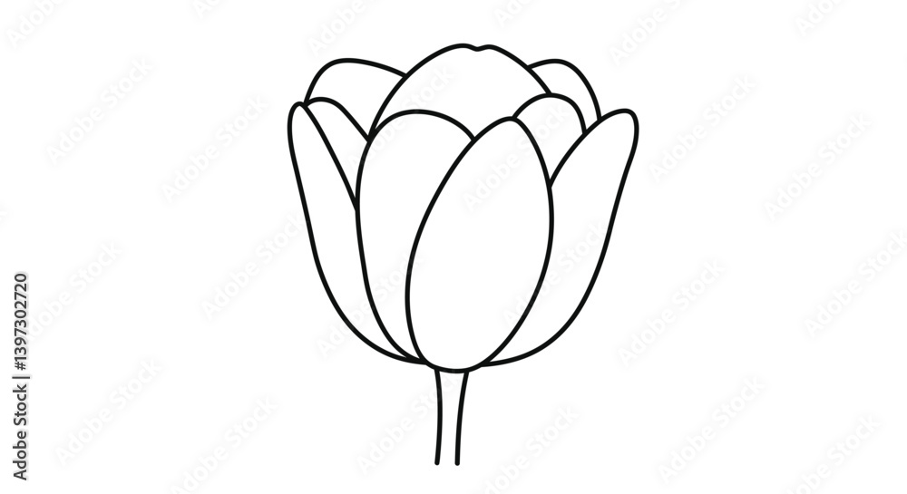 Tulip flower coloring page outline showcasing the iconic simple cup like shape of the classic spring bloom