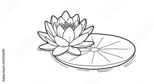 Water lily blossom coloring page outline showing the flower floating peacefully on a round lily pad surface