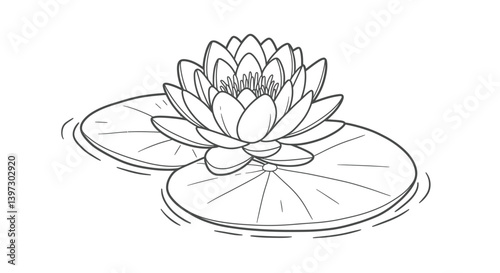 Line drawing coloring sheet of a Nymphaea water lily bloom resting elegantly upon its distinctive leaf pad