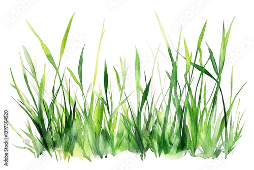 Lush Green Watercolor Grass Blades on Transparent Background, PNG