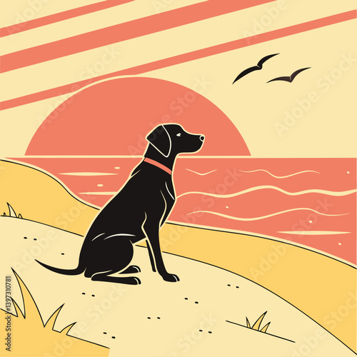 dog on the beach