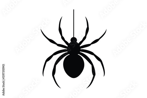 Spider is hanging silhouette