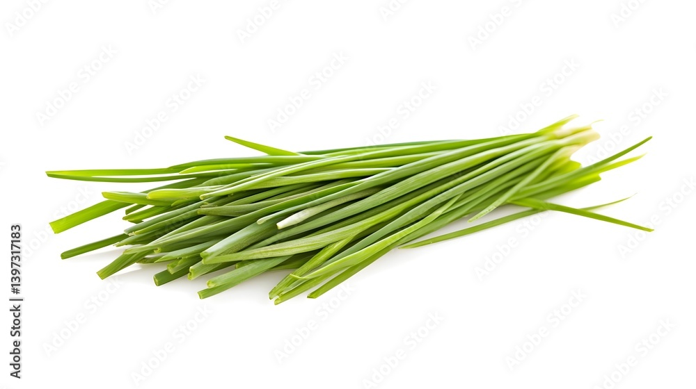 Fresh Green Chives on White Background for Culinary Use Fresh Green Chives on White Background for Culinary Use