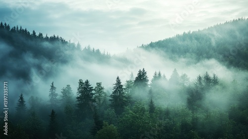 Misty mornings creating a mystical aura. Stock photo --ar 16:9 --quality 2 --style raw --v 6.1 Job ID: 2cf124d0-d63e-48de-8d6c-7d41510d34a9