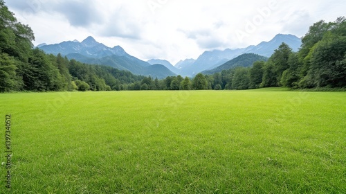 A serene green meadow with lush grass extending towards a backdrop of majestic mountains, cloudy sky, and natural landscape composition.