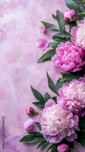 pink and white peony, pink and white flowers, pink flower background, pink peony flower