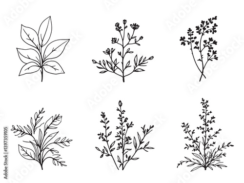 Wild indigo black line art on white background