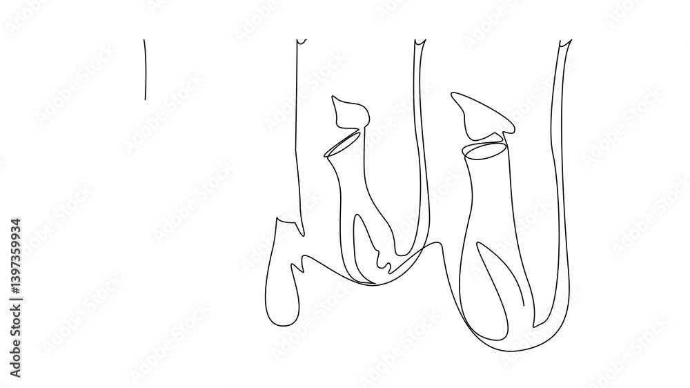 Animation of continuous one line drawing some nepenthes hanging. Plants that produce acidic fluids to digest insects. The pitcher plants. World Carnivorous Plant Day. Full length motion