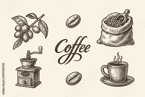 Vintage coffee elements set in hand drawn engraving style
