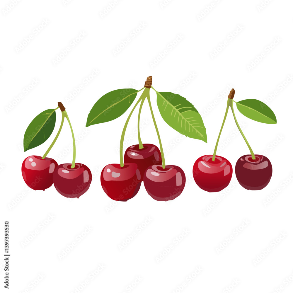 cherries isolated vector icon design