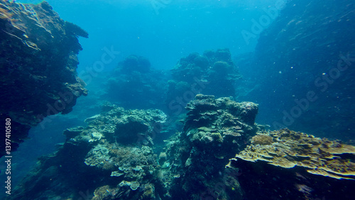 Landscape underwater cliffs. Rock formations underwater. View of rocks, canyons and gorges underwater.
