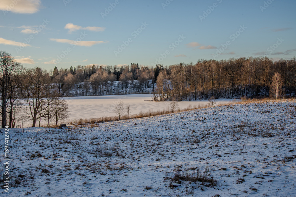 custom made wallpaper toronto digitalFrozen lake in a winter landscape