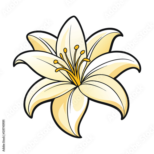 Elegant Lily Blossom Illustration, Open Flower Head with Golden Stamen, Isolated Motif