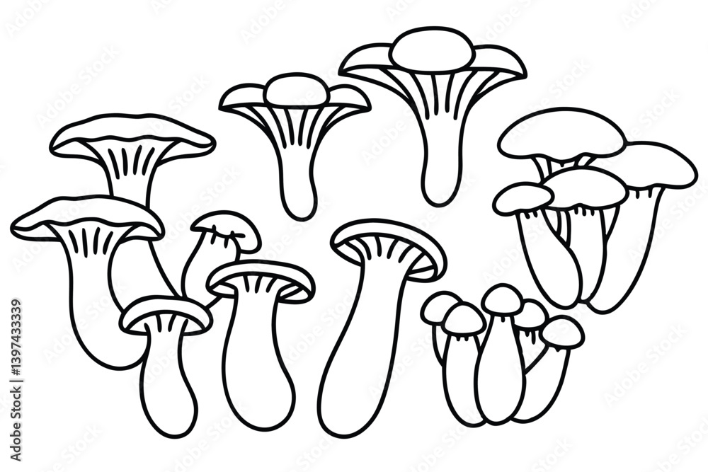 Chanterelles How to Identify and Harvest Safely Chanterelles How to Identify and Harvest Safely