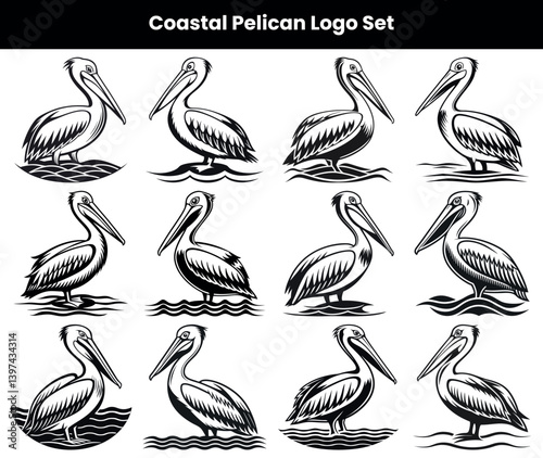 Twelve Black & White Pelican Illustrations with Water Wave Accents on White