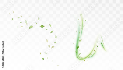 Green leaves swirling in soft air flow with transparent motion trails. Perfect for eco concepts, spring visuals, organic product design, or nature-inspired motion graphics overlays.

