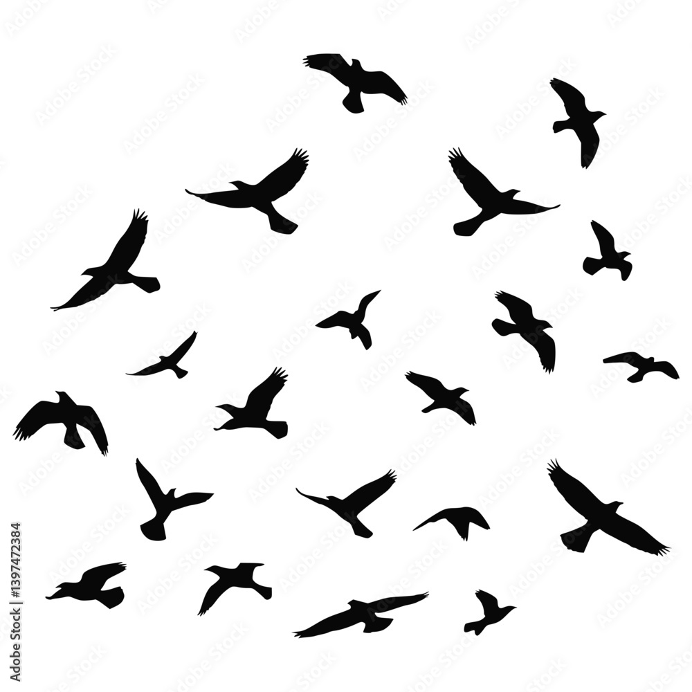 Silhouette of a Flock of Birds Flying in Formation Isolated on White Background Silhouette of a Flock of Birds Flying in Formation Isolated on White Background