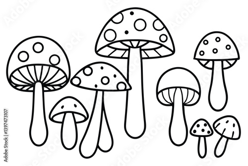 Edible Mushrooms Foraging Tips for Beginners and Experts
