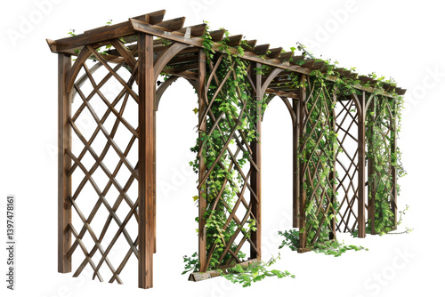 Enchanted Vines: The Beauty of Garden Trellises Isolated On Transparent Background