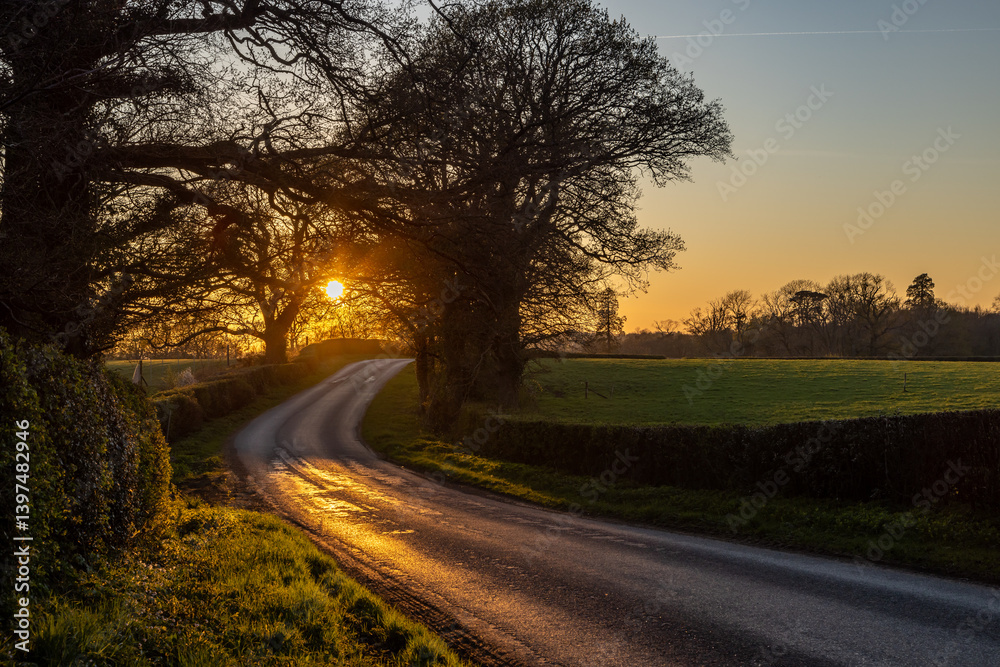 Fototapeta premium Looking along a country road in rural Sussex, with the setting sun behind