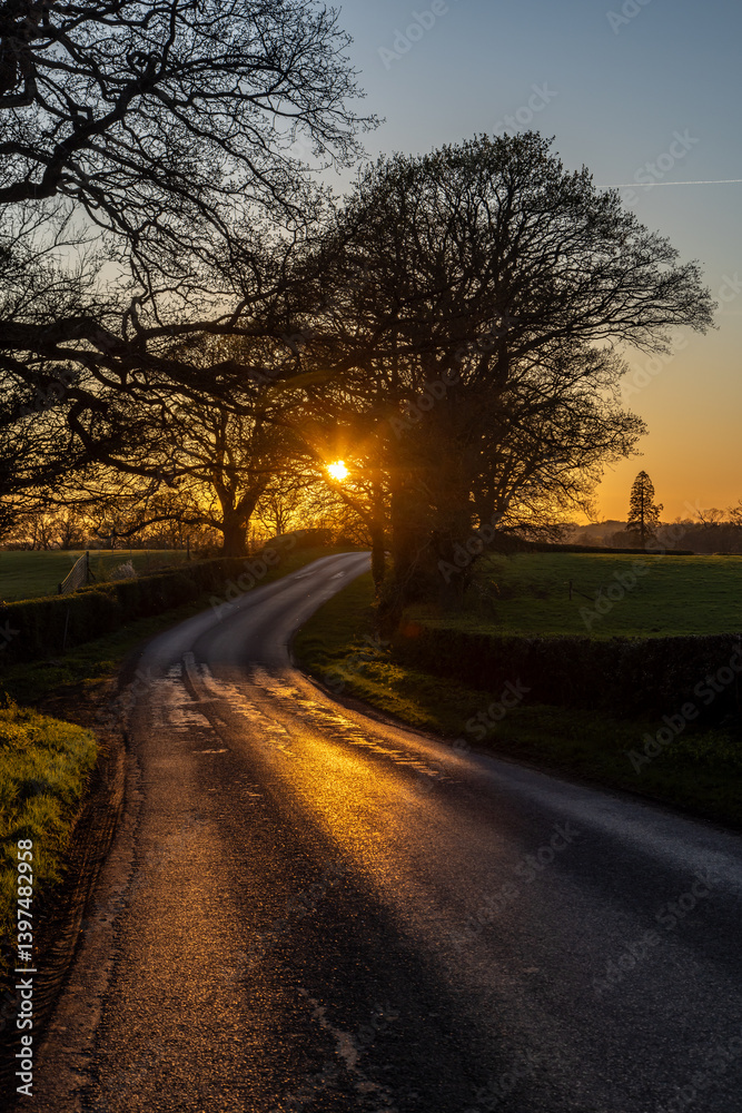 A rural Sussex view at sunset, with golden light on a country road A rural Sussex view at sunset, with golden light on a country road