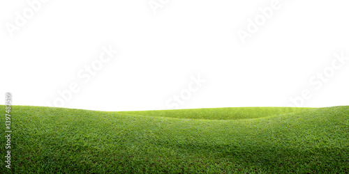 green grass field/Green grassy hills stretch gently under a clean white background, creating a simple and peaceful natural scene.