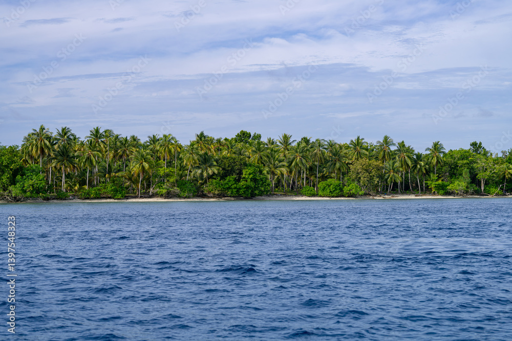 Wide angle view of ush island coastline with palm forest meeting gentle ocean waves under a blue sky Wide angle view of ush island coastline with palm forest meeting gentle ocean waves under a blue sky