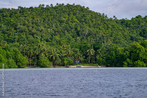 Wallpaper Mural Forest-covered hill with palm trees meets the calm sea creating a secluded tropical retreat Torontodigital.ca