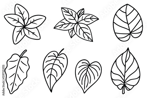 Taro Leaf Clipart Bundle
