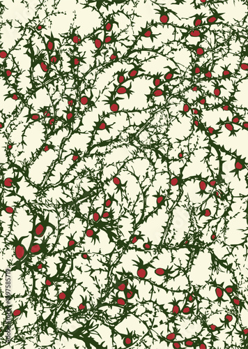 Branches of Blackthorn. Vector drawing