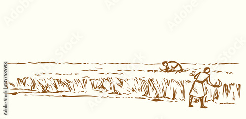 Vector drawing. Reapers in the field