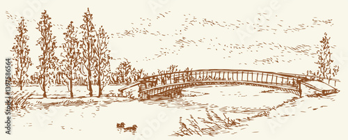 Vector drawing. Two ducks in the park lake