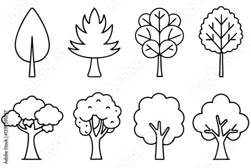 Wallpaper Mural Different Tree Types Vector Art for Education Torontodigital.ca
