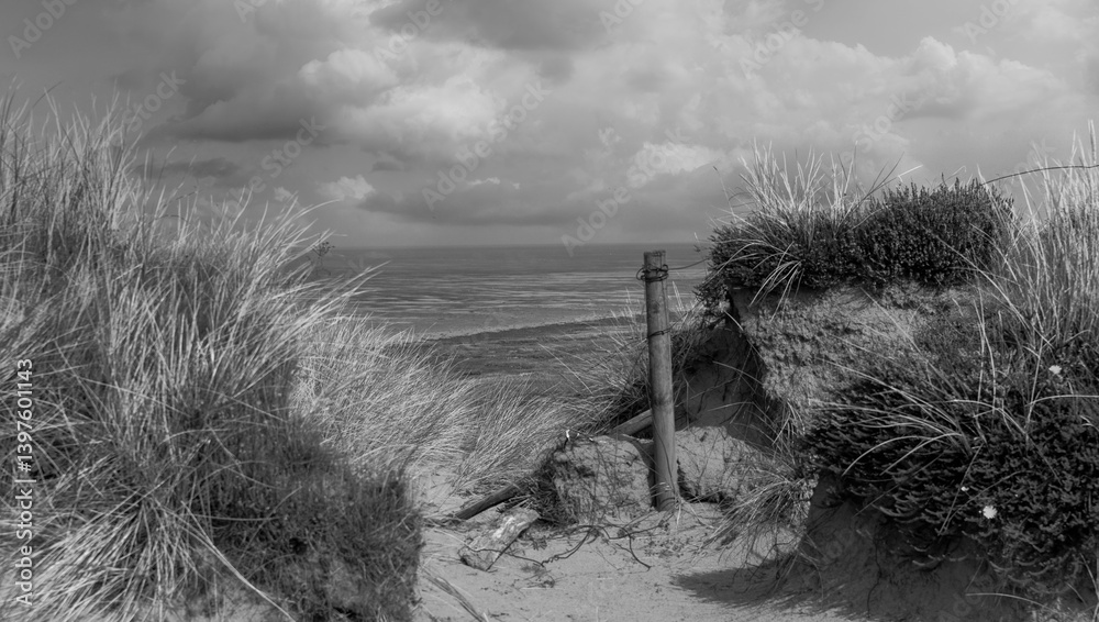 View between the dunes of the North Sea beach