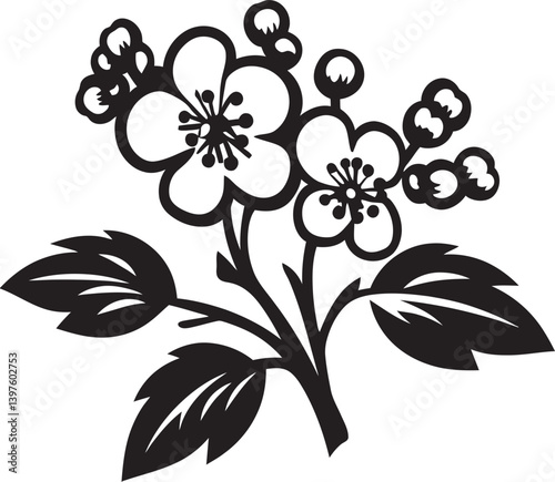 Hawthorn Flowers Nature  Gift of Beauty and Healing Throughout the Ages