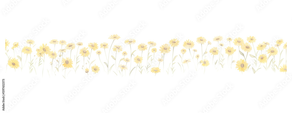 PNG Cute daisies and butterflies as divider line watercolour illustration backgrounds pattern flower. PNG Cute daisies and butterflies as divider line watercolour illustration backgrounds pattern flower.