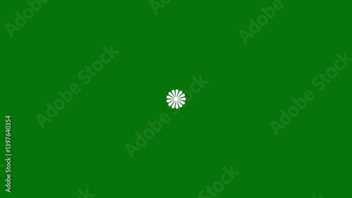Circle Line Pop-Up Explosion, Sparkle Animation FX, Hand-Drawn Fireworks