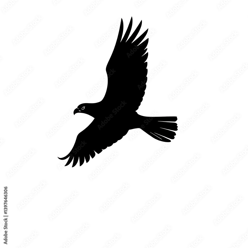 eagle vector illustration eagle vector illustration