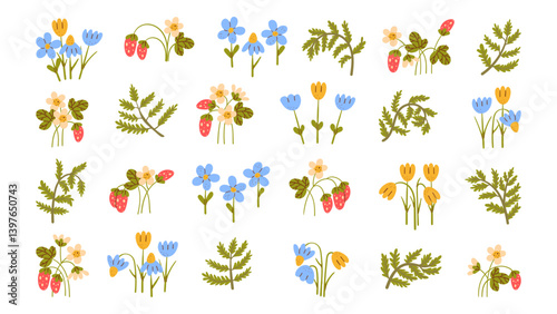 Wild forest wild flowers, strawberries, fern