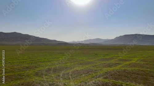 In the distance, horses wander and graze in a lush green field with distant mountains. The sunlight creates a calming atmosphere, showcasing nature's beauty and tranquility.