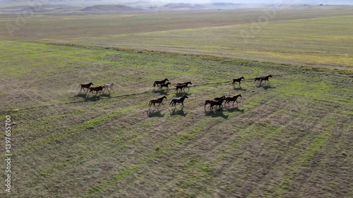 A group of horses runs freely through expansive fields in a picturesque rural setting. The volume landscape features mountains and open green spaces under a clear sky.