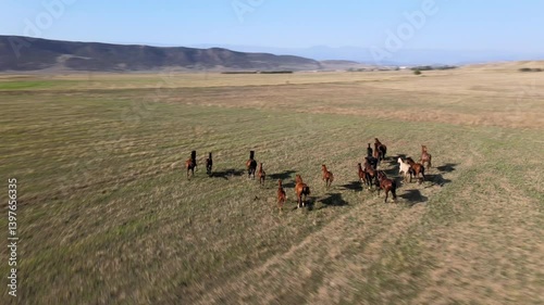 A group of horses runs freely through expansive fields in a picturesque rural setting. The breathtaking landscape features mountains and open green spaces under a clear sky